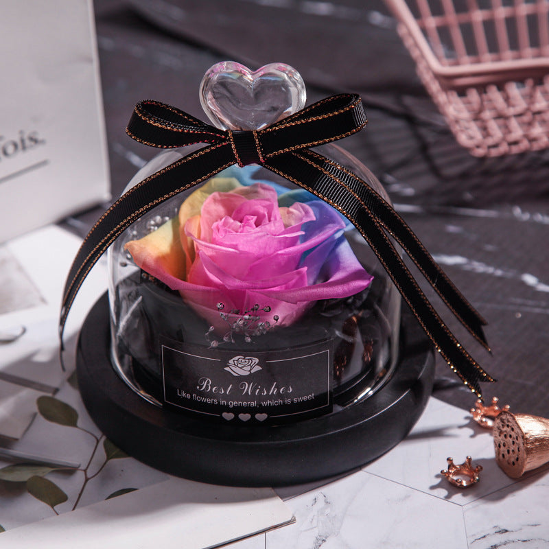 Everlasting Rose Lumina.
