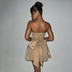 Enchanted Elegance Tube Mini Dress