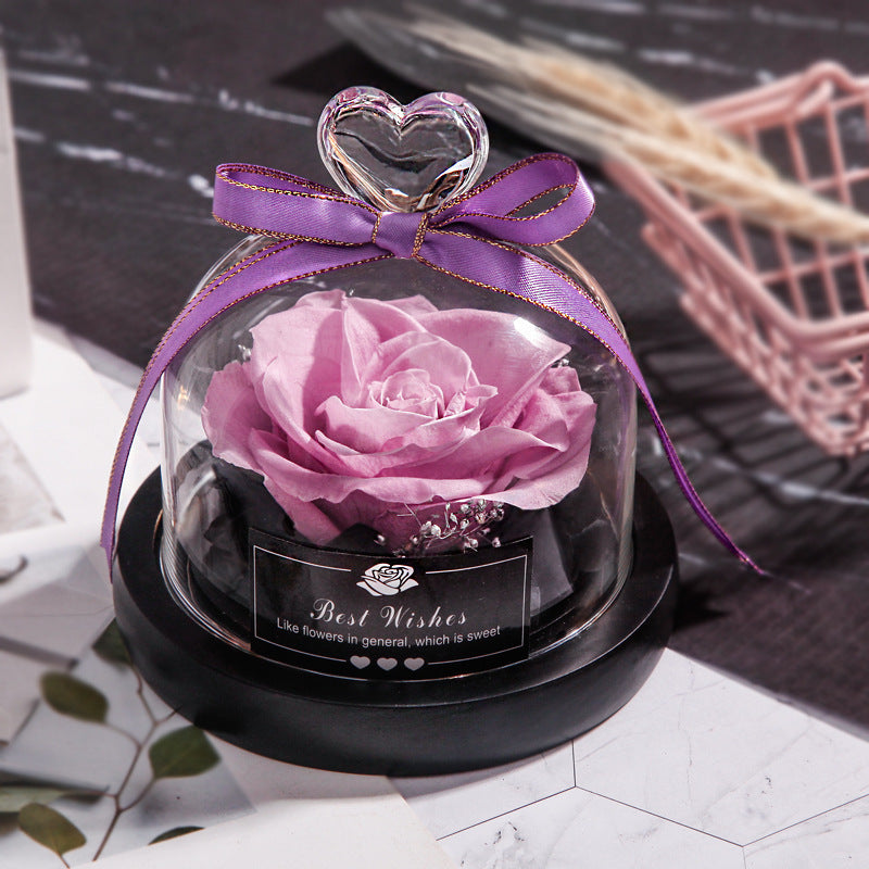 Everlasting Rose Lumina.