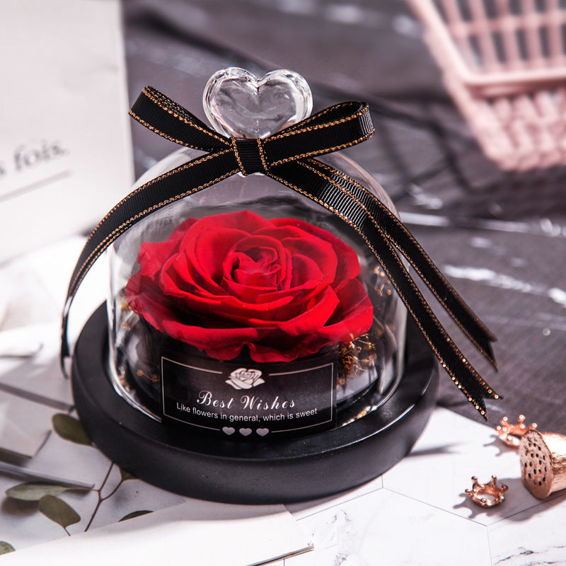 Everlasting Rose Lumina.