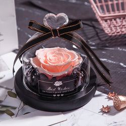Everlasting Rose Lumina.