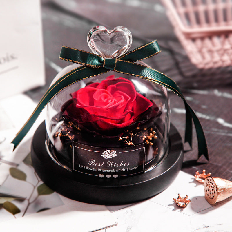 Everlasting Rose Lumina.