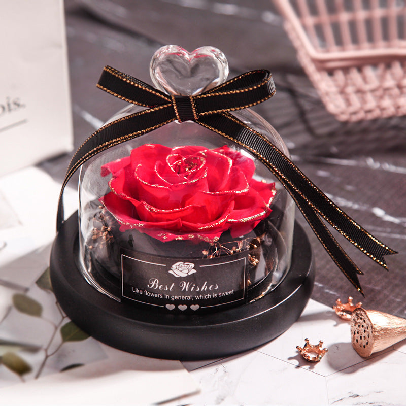 Everlasting Rose Lumina.