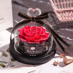 Everlasting Rose Lumina.