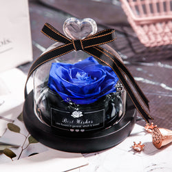 Everlasting Rose Lumina.