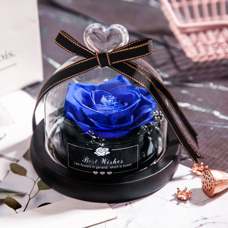 Everlasting Rose Lumina.
